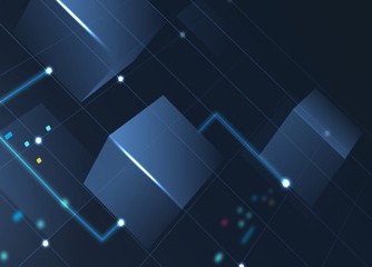 Case Studies